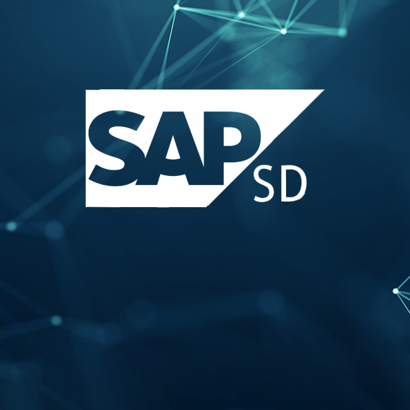Boost Your Sales with SAP Sales and Distribution SAP SD