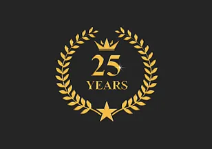 25 years of proven excellence - Web Synergies